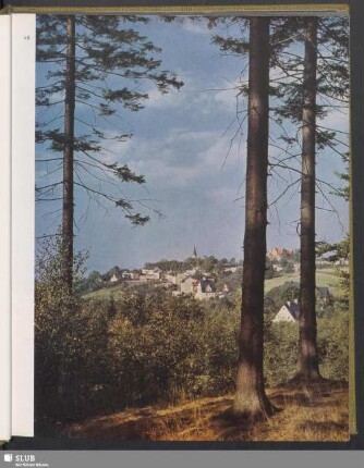 Blick auf Schöneck (Vogtland)