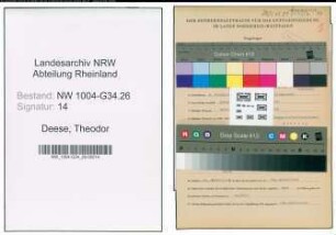 Entnazifizierung Theodor Deese , geb. 04.11.1906 (Arzt)