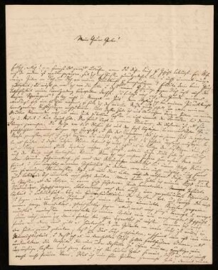 Nr. 6: Brief von Rudolf von Jhering an Carl Friedrich Wilhelm von Gerber, Gießen, 25.5.1855