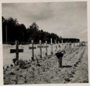 Deutsches Rotes Kreuz