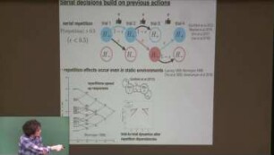 Adaptive evidence accumulation across multi-trial timescales