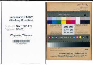 Entnazifizierung Therese Wegener, geb. 01.06.1901 (Studienassessorin)