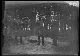 Stochod-Stellung (=Stochid, Gewässer in der Ukraine): 3 Offiziere am Waldrand "im Abschnitt der 5. Kavallerie-Brigade"