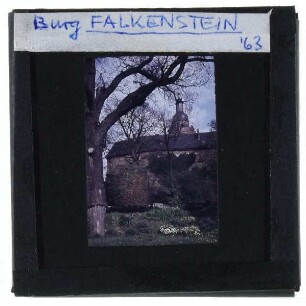 Burg Falkenstein (Harz)