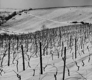 Archivfotografie "kraichgau_rauenberg_20326"