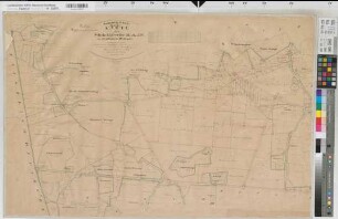 Halverde (Hopsten), Schale (Hopsten), Teilung der Schale-Halverder Mark, Brouillonkarte Bl.19
