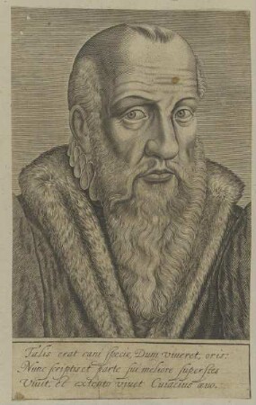 Bildnis des Jacques Cujas