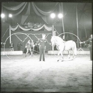 Circus Williams - Vorstellung - Tiere, ohne Ortsangabe, 1959