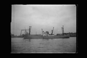 Hector (1950), Neptun.- Dampfschifffahrts-Gesellschaft „Neptun“, Neptun Linie, D.G. "Neptun", Bremen