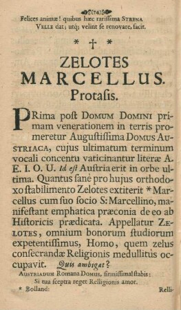 Zelotes Marcellus