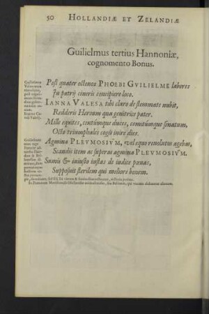 Guilielmus tertius Hannoniae, cognomento Bonus.