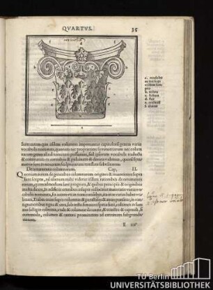 De ornamentis columnarum. Cap, II.