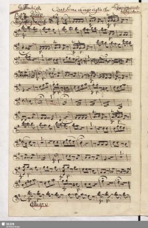1313. Rondo: Qual Sirena un vago ciglio / Seydelmann, F