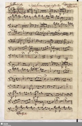 1313. Rondo: Qual Sirena un vago ciglio / Seydelmann, F