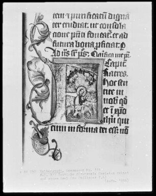 Brevier, Ms. 115, folio 227, Initiale F(ratres): Christus reitet auf einem Esel (zu Philipper 2,6)