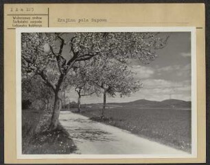 Landschaft bei Sonneberg : Krajina pola Supowa