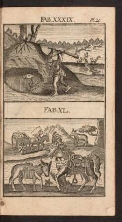 Pl. 20. Fab. XXXIX. Fab. XL.