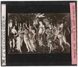 Botticelli: Der Frühling. Florenz, Uffizien (Reihe AK XIII, Seestern-Nr. 3329)