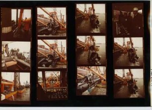 Spüler 9, 1981