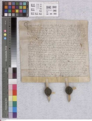 Schlierbach: Volprecht Riedesel verkauft seinen Teil an der untersten Mühle zu Schlierbach an Johann v. Blankenbach