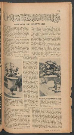 Arreglo de macetones : Jardinería