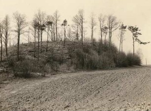 Spreetal : Oberlausitz. Spreetal oberhalb von Bautzen. Burgwall bei Doberschau. Angriffsfront (Ostansicht)