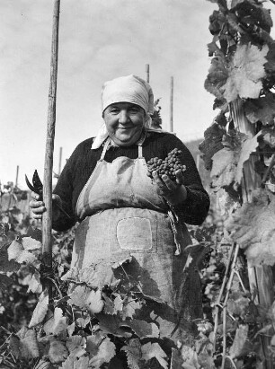 Porträts. Weinbäuerin in Meersburg