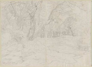 Waldinneres mit einem Tälchen zwischen den Weiden und anderen Bäumen und Durchblick auf den Nemi-See