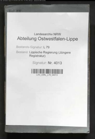 Anstellung der Lehrer am Gymnasium Detmold, Band 19