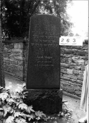 Grabstein 263