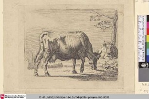 [Grasende Kuh, im Hintergrund eine liegende Kuh an einem Baum; The Grazing Cow]