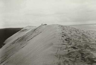 Les Landes / Frankreich. Dune du Pilat bei Arcachon. Kamm der Düne