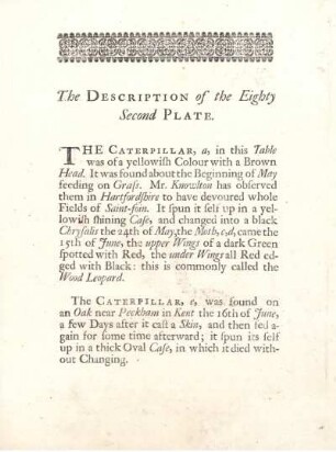 The Description of the Eighty Second Plate