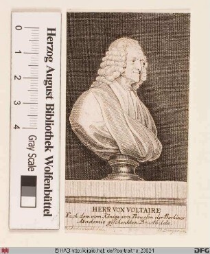 Bildnis Voltaire (eig. François-Marie Arouet)