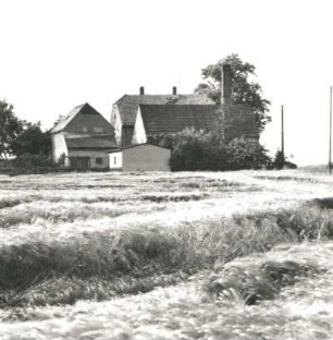 Colditz-Möseln, Seuphaner Straße 17. Gasthof "Heiterer Blick" mit Schmiede (Dreiseithof; 1. H. 19. Jh.). Feldseite