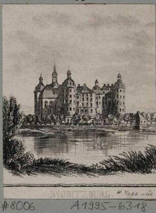 Das Schloss Moritzburg bei Dresden