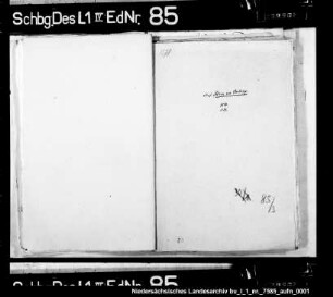 Schuldensachen des Adrian von Steinberg