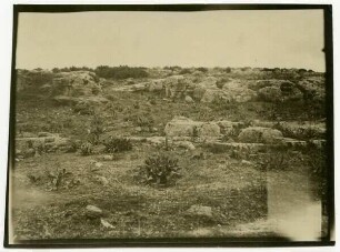bei eddrehime [schech ibrak, durchgestrichen, ?]