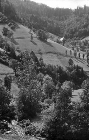 Wildgutach: Wildgutachtal