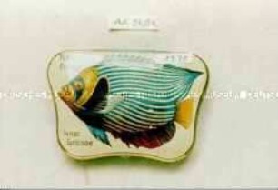 Automatenblechdose, trapezförmig, nach innen gewölbt, für Schokolade/Pastillen? "Kaiser-Fisch.1/4 nat. Grösse. Hartwig und Vogel A.-G."