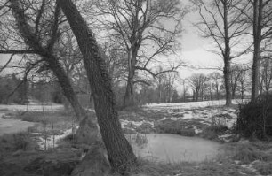 Parklandschaft mit Burg Schlitz (links) und B 108 (rechts)