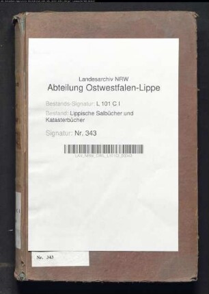 Salbuch der Stadt Lemgo von 1854, Bd. 7 (Duplikat)