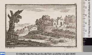Landschaft mit totem Baum