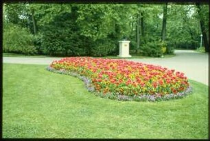 Blumenbeet im Volkspark Wilmersdorf
