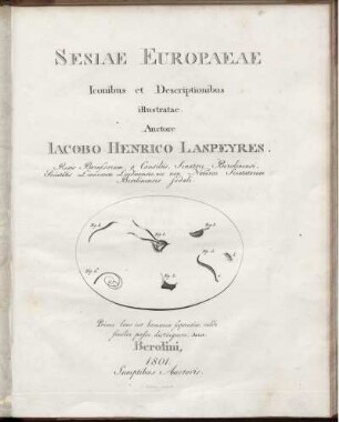 Sesiae Europaeae : Iconibus et Descriptionibus illustratae