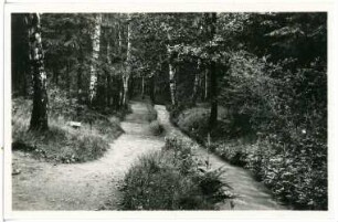 Oberschlema. Floßgraben