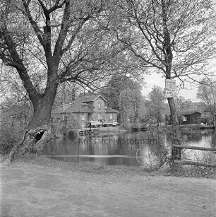Mühlenteich: vorn Zaun: rechts und links Bäume: rechts Hinweisschild: hinten Mitte zwischen Bäumen Mühle: davor Lkw mit Anhänger: hinten rechts Schuppen