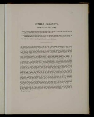 Numida coronata