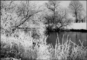 Marienwerder, Raureif an der Leine [Fluss]