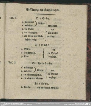 Erklärung der Kupfertafel